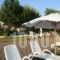 Posidonia Pension_best prices_in_Hotel_Central Greece_Evia_Amaranthos