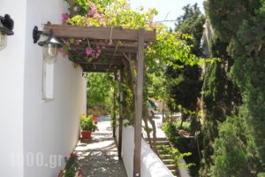 Aphrodite Pension_best prices_in_Room_Crete_Rethymnon_Plakias