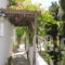 Aphrodite Pension_best prices_in_Room_Crete_Rethymnon_Plakias