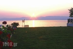 Seafront Apartments_best deals_Apartment_Ionian Islands_Corfu_Lefkimi