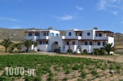 Joanna’s Apartments in Naxos Chora, Naxos, Cyclades Islands