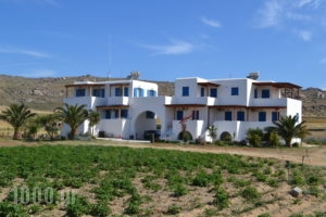 Joanna's Apartments_accommodation_in_Apartment_Cyclades Islands_Naxos_Naxos Chora