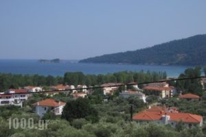 Golden View Studios_lowest prices_in_Hotel_Aegean Islands_Thasos_Thasos Chora