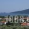 Golden View Studios_lowest prices_in_Hotel_Aegean Islands_Thasos_Thasos Chora