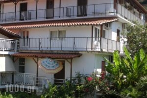 Lemon House_accommodation_in_Hotel_Aegean Islands_Samos_Samosst Areas