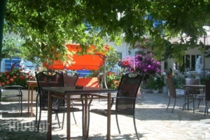 Angelena_accommodation_in_Hotel_Central Greece_Fokida_Spilia of Trizonia