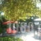 Angelena_best deals_Hotel_Central Greece_Fokida_Spilia of Trizonia