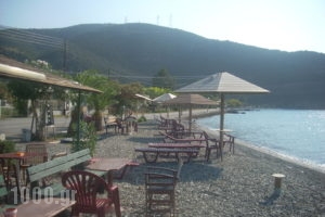 Angelena_holidays_in_Hotel_Central Greece_Fokida_Spilia of Trizonia