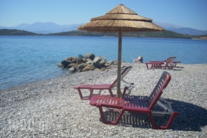 Angelena_best prices_in_Hotel_Central Greece_Fokida_Spilia of Trizonia