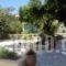 Villa Sylvia_lowest prices_in_Villa_Crete_Heraklion_Matala