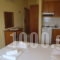 Katerina Studios_best deals_Room_Aegean Islands_Thasos_Limenaria