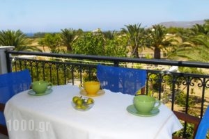 Sunny Flats_holidays_in_Hotel_Ionian Islands_Kefalonia_Kefalonia'st Areas