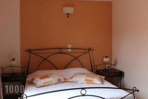 Asterida_accommodation_in_Room_Ionian Islands_Ithaki_Stavros
