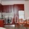 Asterida_lowest prices_in_Room_Ionian Islands_Ithaki_Stavros