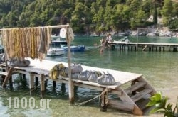 Agnondas Villas in Agnondas, Skopelos, Sporades Islands