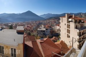 Galini_accommodation_in_Hotel_Central Greece_Evritania_Karpenisi