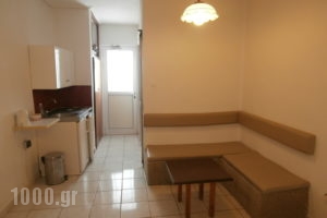 Skoufezis Studios_lowest prices_in_Apartment_Dodekanessos Islands_Kos_Kardamena