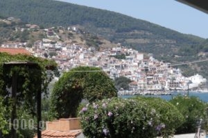 Studios Elpiniki_lowest prices_in_Hotel_Sporades Islands_Skopelos_Skopelos Chora