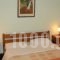 Earini Rooms And Apartments_lowest prices_in_Room_Crete_Chania_Chania City