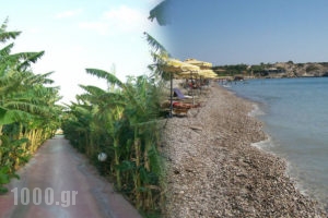 Alfa_accommodation_in_Hotel_Dodekanessos Islands_Rhodes_Kolymbia