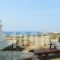 Akrotiraki Villas_accommodation_in_Villa_Cyclades Islands_Tinos_Tinosora