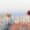 Pappas_travel_packages_in_Peloponesse_Korinthia_Kiato