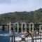 Happy Days_best deals_Hotel_Crete_Rethymnon_Aghia Galini