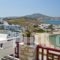 Katerina Mare_accommodation_in_Hotel_Cyclades Islands_Paros_Paros Chora