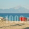 Oreos Appartments_best deals_Room_Macedonia_Halkidiki_Sarti