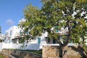 Ostria Studios_best deals_Hotel_Cyclades Islands_Andros_Gavrio