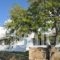 Ostria Studios_best deals_Hotel_Cyclades Islands_Andros_Gavrio