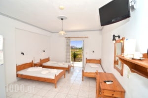 Athina Apartments Kalamaki_accommodation_in_Apartment_Ionian Islands_Zakinthos_Kalamaki