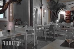 Novecento Studios in Antiparos Chora, Antiparos, Cyclades Islands