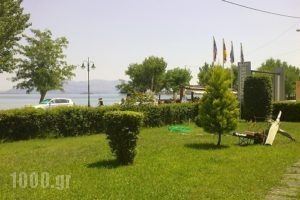 Violetta_accommodation_in_Hotel_Central Greece_Fthiotida_Kamena Vourla