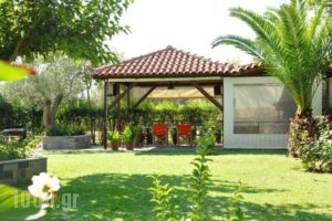 Villa Annilena_travel_packages_in_Peloponesse_Achaia_Aigio