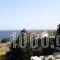 Anemoesa_travel_packages_in_Cyclades Islands_Andros_Batsi