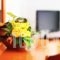 Saonissos_best deals_Hotel_Aegean Islands_Samothraki_Kamariotissa