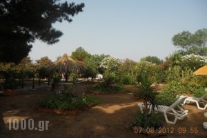 Villa Tatiana_best deals_Villa_Ionian Islands_Corfu_Corfu Rest Areas