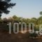 Villa Tatiana_best deals_Villa_Ionian Islands_Corfu_Corfu Rest Areas