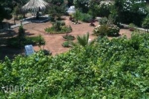 Villa Tatiana_lowest prices_in_Villa_Ionian Islands_Corfu_Corfu Rest Areas