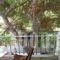 Camelia_best prices_in_Hotel_Dodekanessos Islands_Kos_Kos Chora