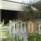 Alonia_best deals_Hotel_Crete_Heraklion_Kalamaki