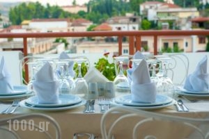 Neda Hotel_best prices_in_Hotel_Peloponesse_Ilia_Olympia