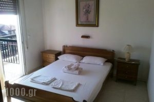 Pension Olympus_best deals_Room_Macedonia_Pieria_Litochoro