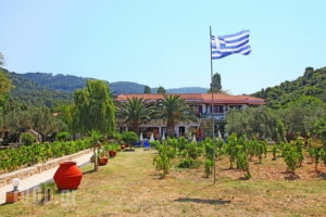 Studios Pelagos_holidays_in_Apartment_Sporades Islands_Skopelos_Panormos