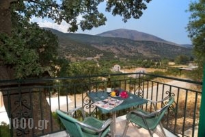 Faos Luxury Apartments_best deals_Apartment_Ionian Islands_Kefalonia_Aghia Efimia