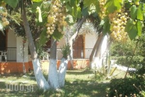 Studios Dimitris_accommodation_in_Hotel_Sporades Islands_Skiathos_Skiathoshora