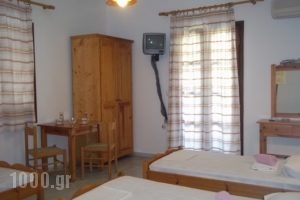 Studios Katerina_holidays_in_Hotel_Cyclades Islands_Naxos_Naxos Chora