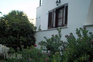 Studios Katerina_travel_packages_in_Cyclades Islands_Naxos_Naxos Chora