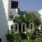 Studios Katerina_lowest prices_in_Hotel_Cyclades Islands_Naxos_Naxos Chora
